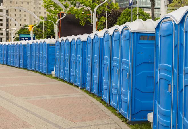 a line of spacious and well-maintained portable restrooms in Angelus Oaks, CA